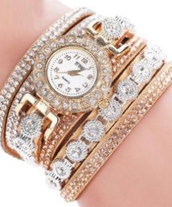 the absolute luxury watch set